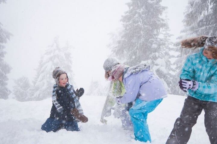Levi to Rovaniemi Family Adventure Transfer with Guided Tour