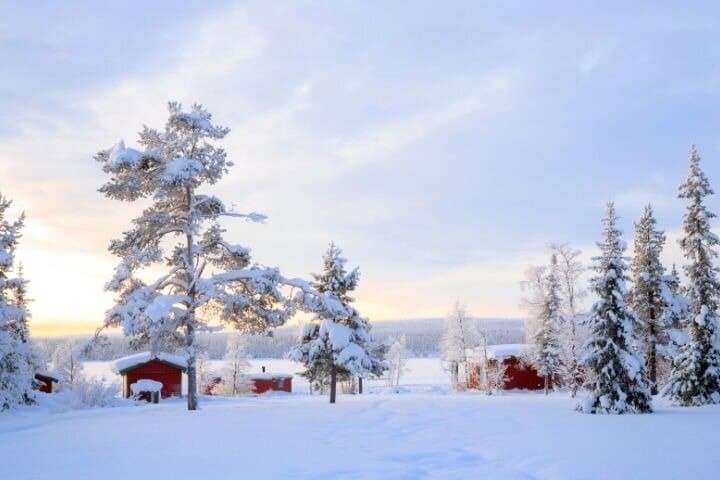 Levi to Rovaniemi Snowshoeing Transfer Experience