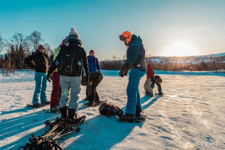 Levi to Rovaniemi Snowshoeing Transfer Experience