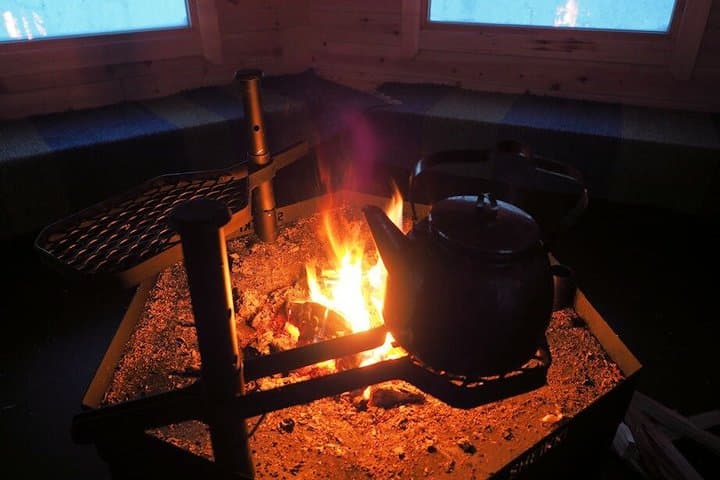 Secrets of Inari's Snowy Forest - Biologist-Led Snowshoe Walk