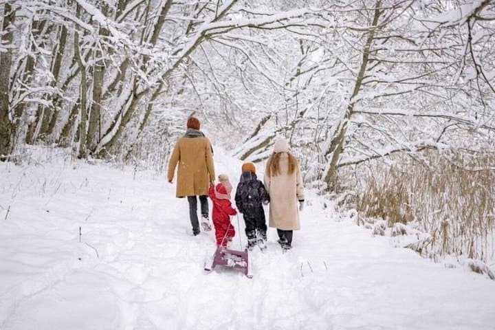 Rovaniemi to Levi Adventure Transfer for Families