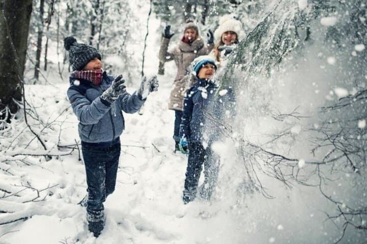 Rovaniemi to Levi Adventure Transfer for Families