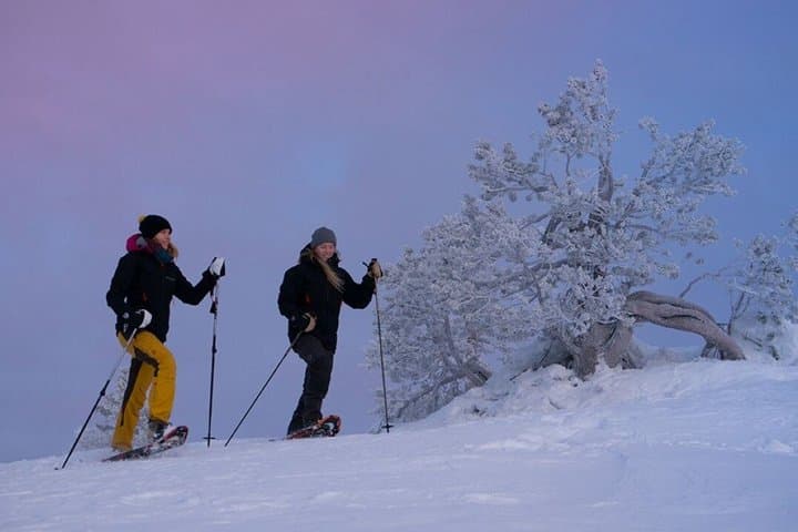 Rovaniemi Finland Tour with Transportation