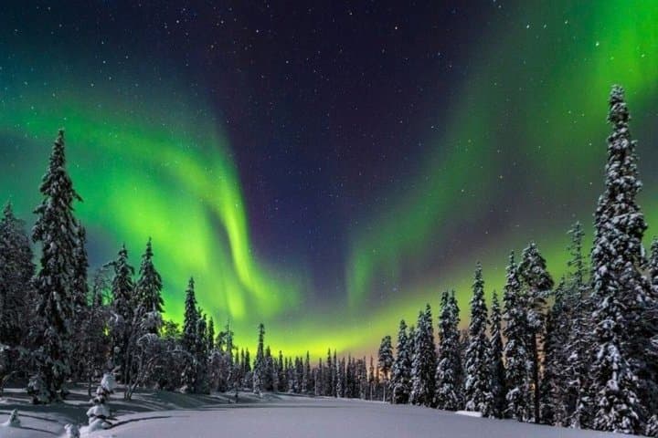 Northern Lights Hunt Transfer from Rovaniemi to Levi