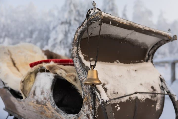Traditional Finnhorse Sleigh Ride at SCV (30 min)