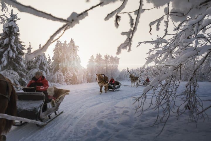 Traditional Finnhorse Sleigh Ride at SCV (30 min)