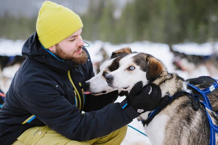 5KM Husky Sled Ride from Levi