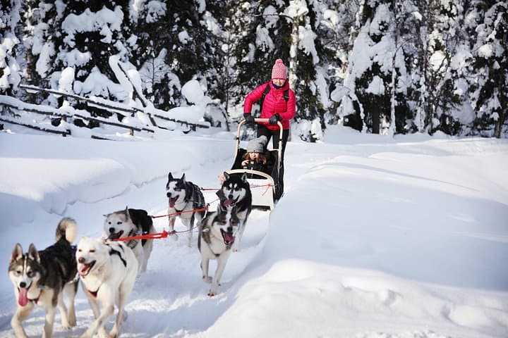 Experience 5-km Husky Safari from Levi