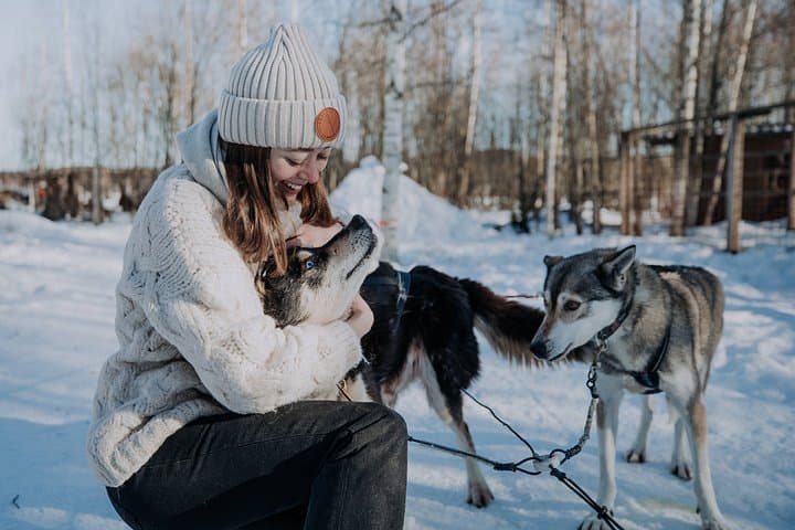 Experience 5-km Husky Safari from Levi