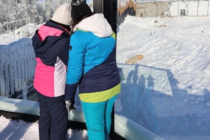 Arctic Wildlife Adventure Ranua Wildlife Park Trip