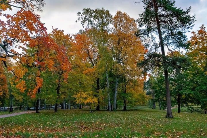 Jean Sibelius Landmarks Helsinki Private Guided Walking Tour