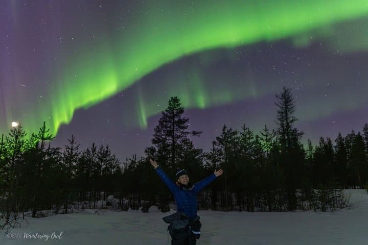 Aurora Walk on Snowshoes in the Finnish Wilderness