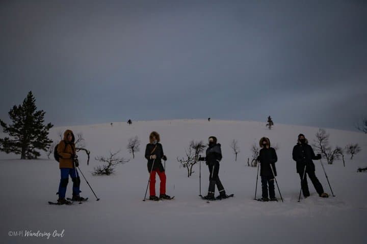 Aurora Walk on Snowshoes in the Finnish Wilderness