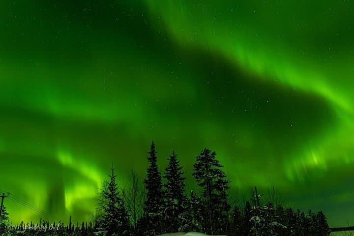 Aurora Walk on Snowshoes in the Finnish Wilderness
