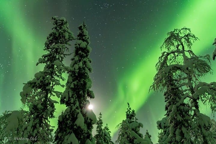 Aurora Walk on Snowshoes in the Finnish Wilderness