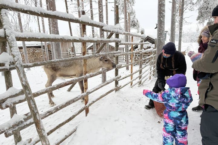 Husky and Reindeer Combo Tour with Santa and Santa’s Pets Tickets