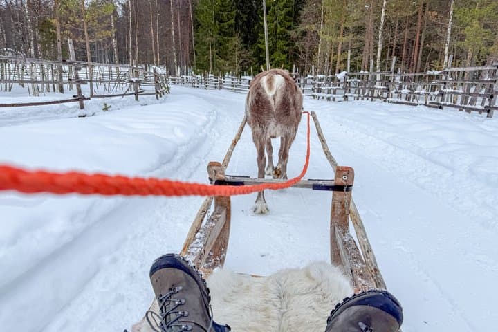 Husky and Reindeer Combo Tour with Santa and Santa’s Pets Tickets