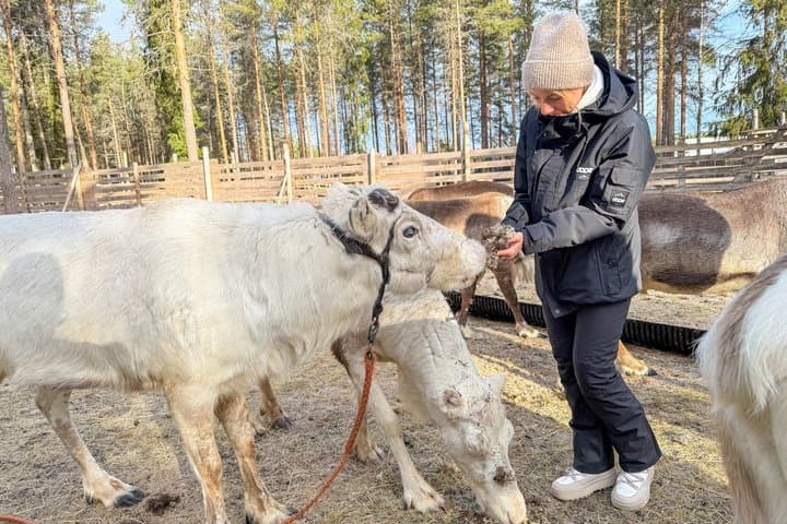 Husky and Reindeer Combo Tour with Santa and Santa’s Pets Tickets