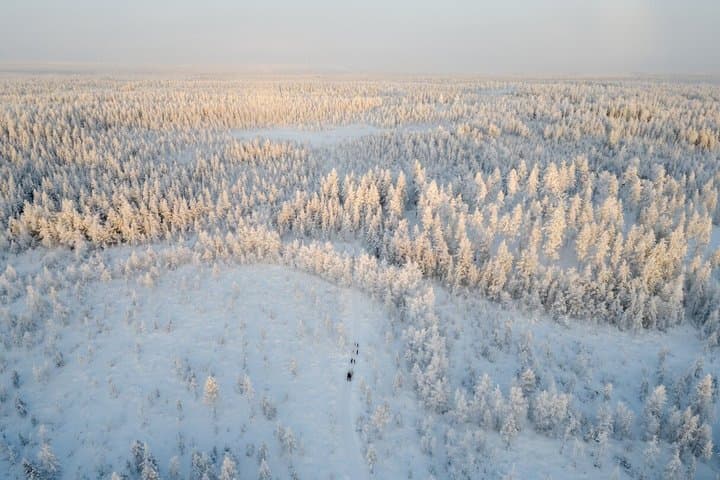 Kemijärvi: Insider 5km husky ride + Santa Claus Village Tour