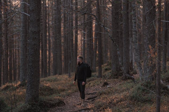 Autumn Hike in Levi with Wilderness Picnic