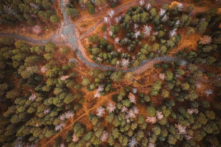 Autumn Hike in Levi with Wilderness Picnic