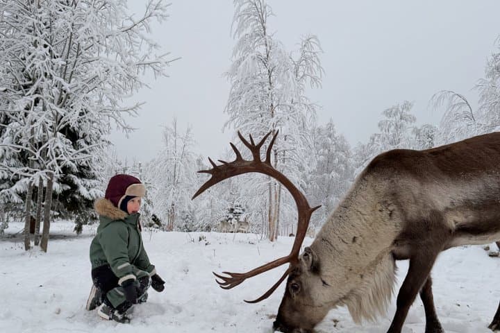Private and Reindeer Farm Visit near Rovaniemi