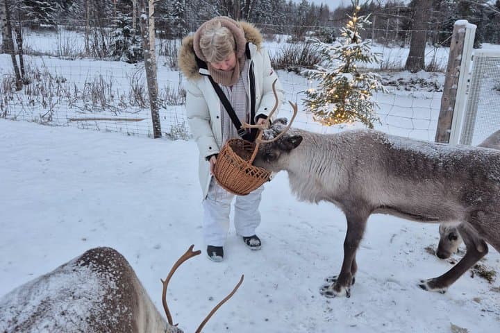 Private and Reindeer Farm Visit near Rovaniemi
