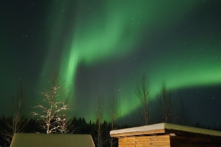 Private and Reindeer Farm Visit near Rovaniemi