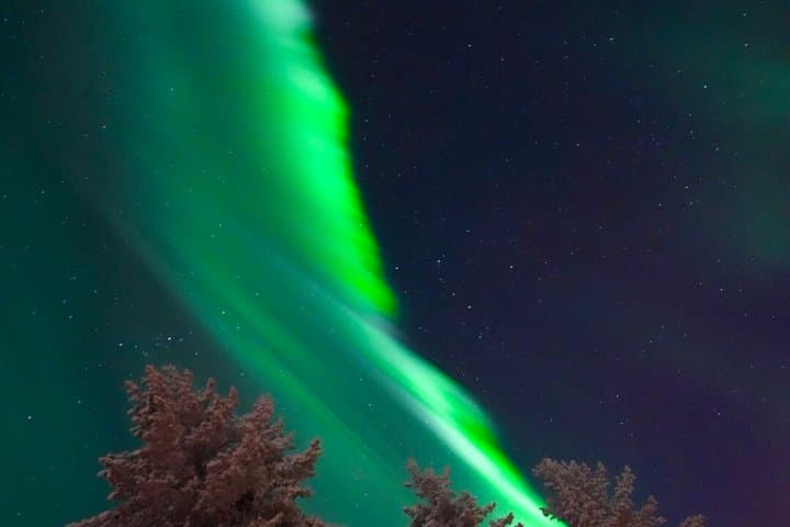 Rovaniemi: Private Northern Lights Tour
