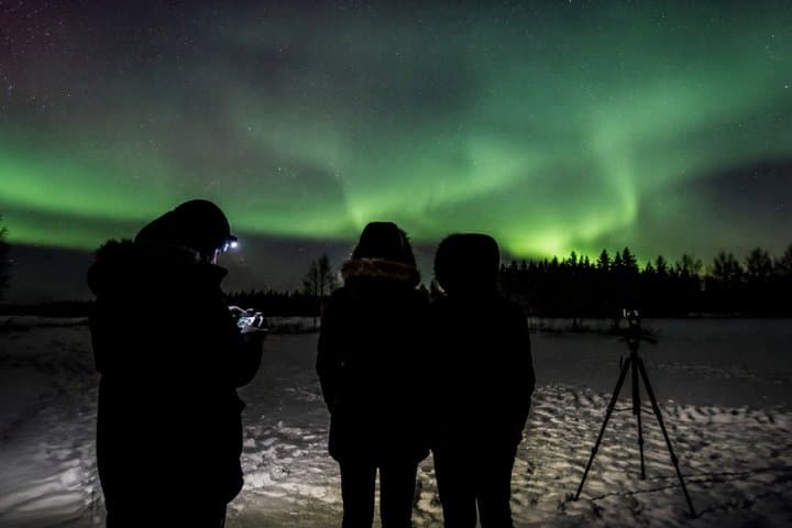 Rovaniemi Small-Group (1–4 Guests) Aurora Chase with Photos & BBQ
