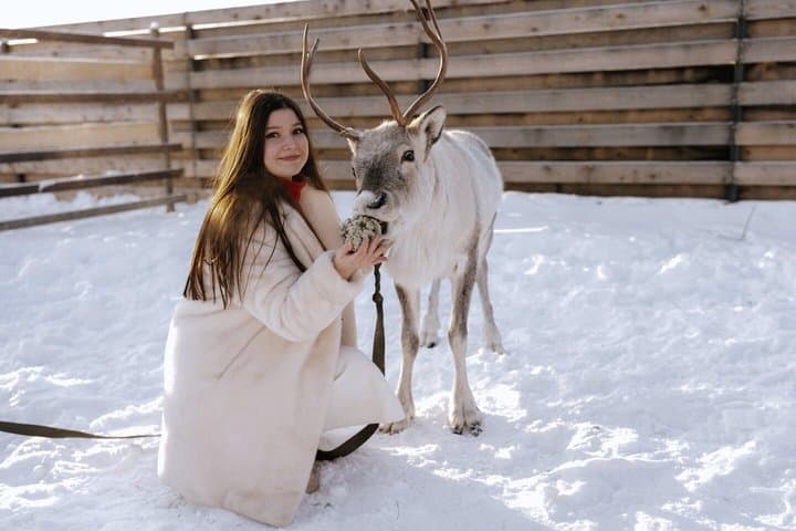 Lapland Aurora World Arctic Night Experience
