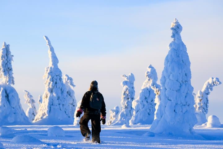 Magical Frozen Forests of Riisitunturi with Photography & BBQ
