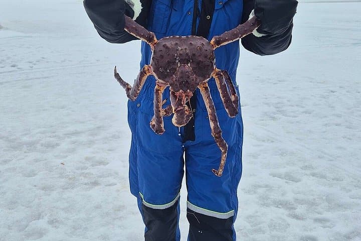 King Crab Experience to Norway from Saariselkä