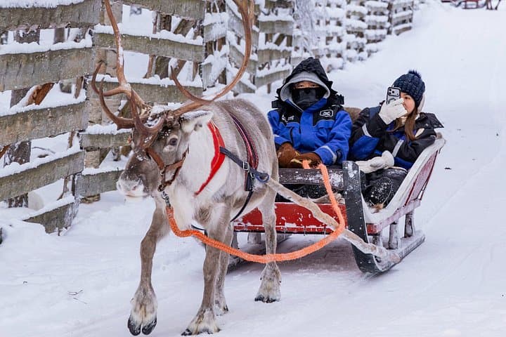 Reindeer Farm Visit with Reindeer Safari - Rovaniemi