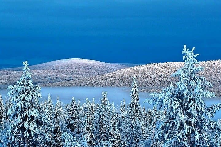 King Crab Experience to Norway from Saariselkä