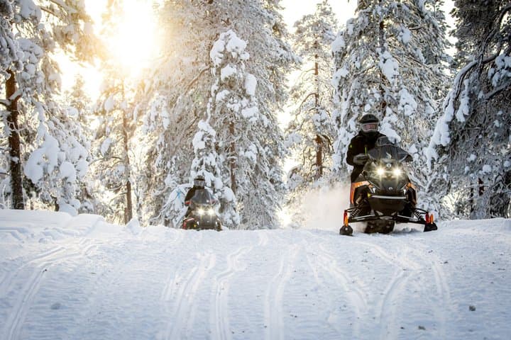 Snowmobile Safari to the Wilderness with Lunch