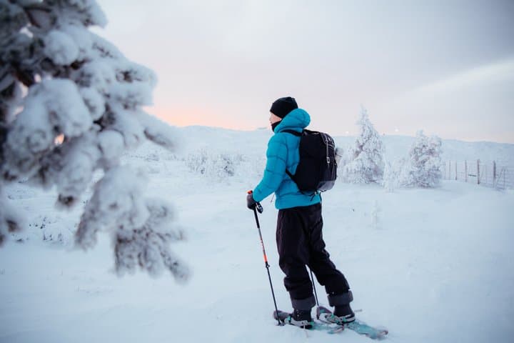 Small Group Snowshoeing Adventure in Levi