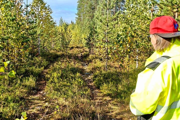 Lapland Forest Dog Tracking Tour with BBQ