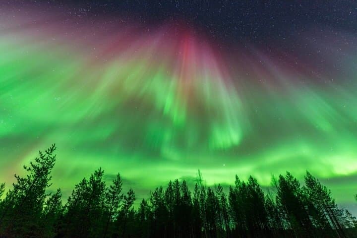Premium Northern Lights Tour in Rovaniemi for Small Groups