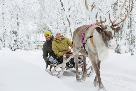 Levi Reindeer Safari - Long or Quick - with Sledge Ride