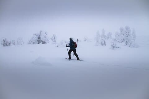 SNOWSHOEING The white walk