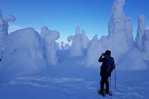 Riisitunturi National Park Snowshoe Adventure from Ruka-Kuusamo