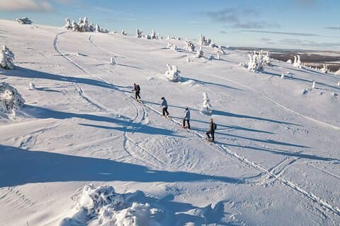 Lapland Wilderness Adventure – Explore Wild Arctic Trails