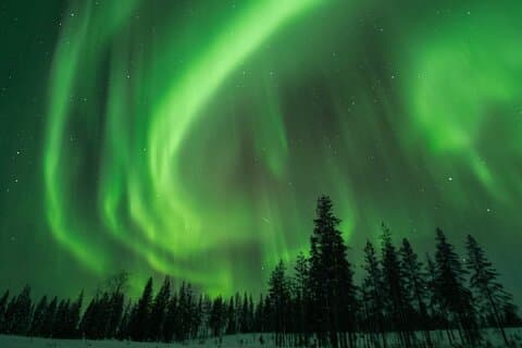 Rovaniemi: Insider Christmas and New Year Family Package