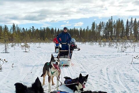 Husky Winter