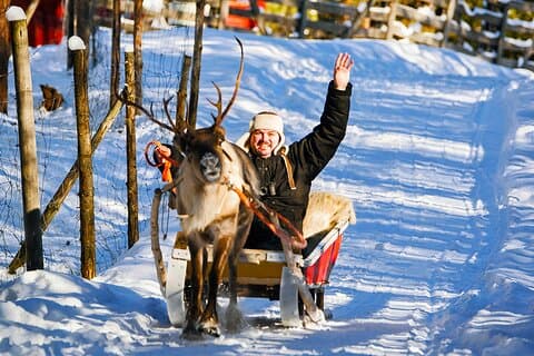 Rovaniemi: Husky & Reindeer Ride with Transfers