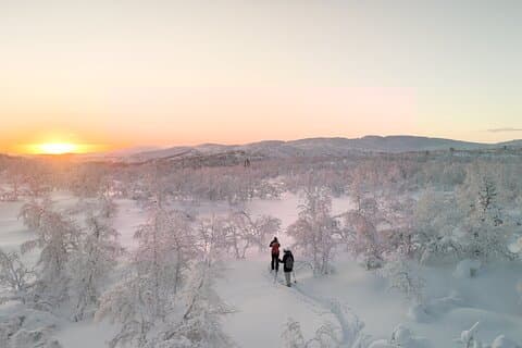 Snowshoes in Muotkantunturi Park