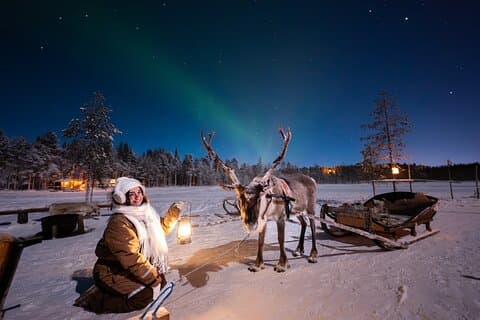 Feed the reindeer