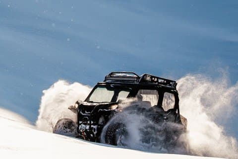 Private Expedition: INTO THE WILD Safari & Lunch in Glass Igloo