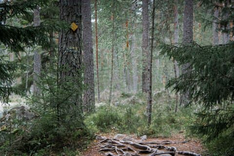 Private Hike in National Park with Campfire Lunch